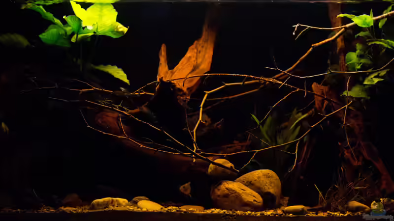 Lichtstimmung Südamerika .. von AjakAndi (4)