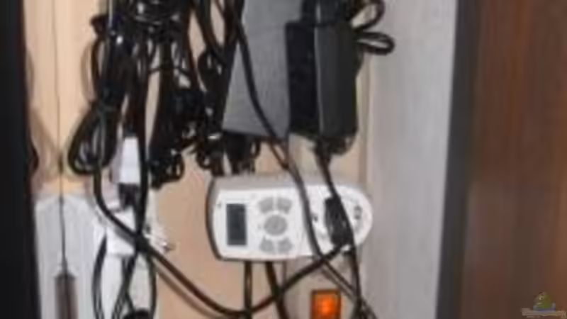 Lichttechnik von Udo´s - Malawi Raumteiler (4)