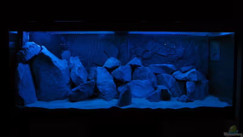 Lichttest im trockenen von Oliver H. (18)