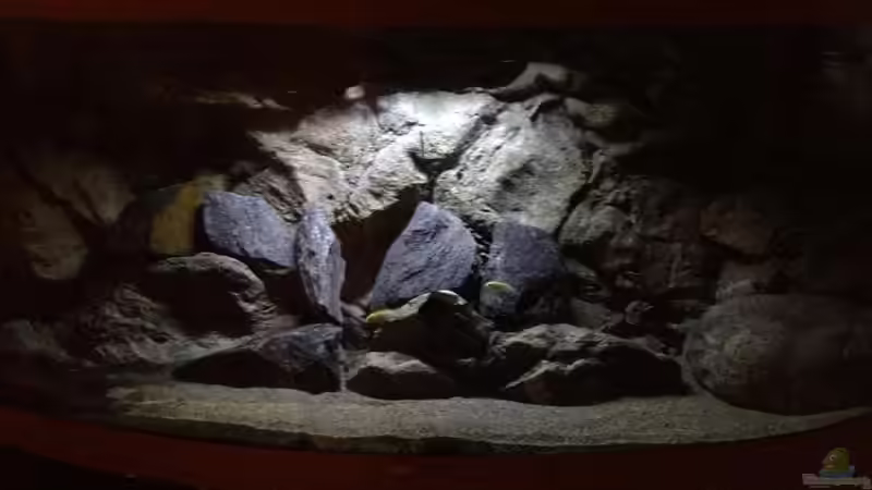 Lichttest LumLight von Tobias Sch. (25)