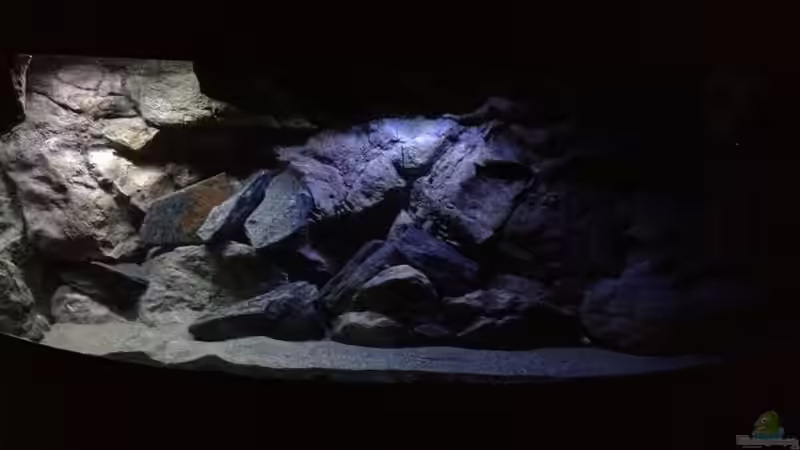 Lichttest mit LumLight von Tobias Sch. (24)