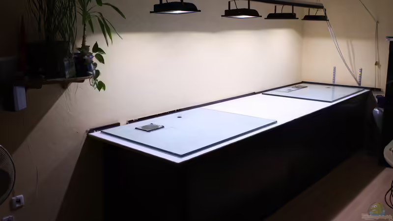 Lichttest von Fishers Friend (16)