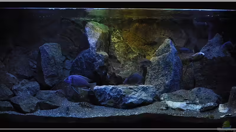 Lichtverhältnisse... von ***ELLIS*** (5)