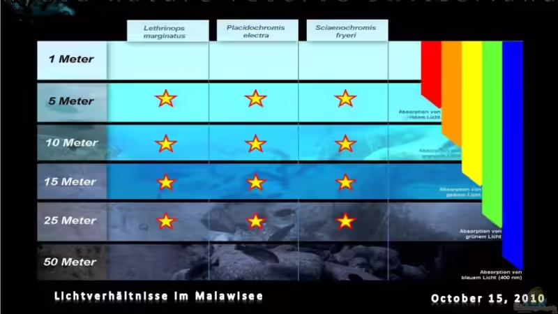 Lichtverhältnisse im Malawisee von Der Schweizer (30)