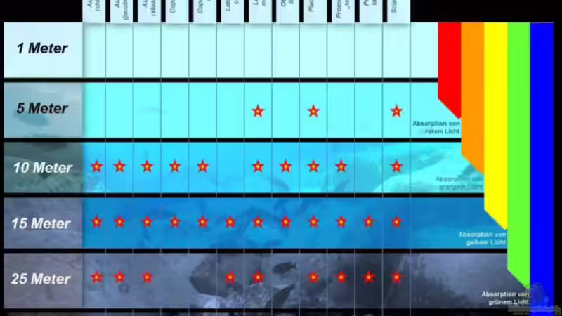 Lichtverhältnisse im Wasser / Malawisee