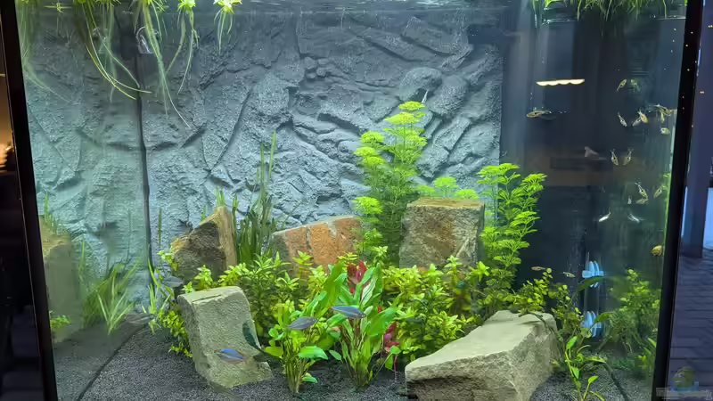 Lido 200 - ein Wiedereinstieg Lido 200 - ein Wiedereinstieg