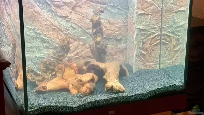 Lido 200 Einlaufphase von BenCCAA (2)