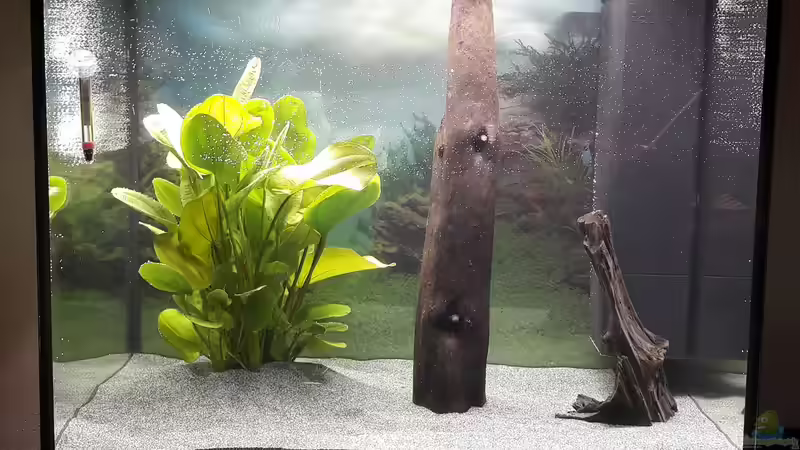 Lido 200 von Sandra G. (1)