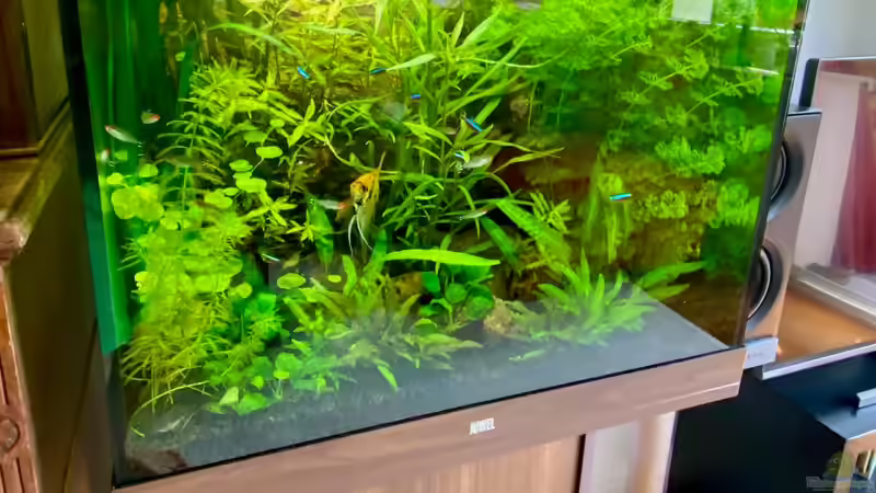 Lido aktuell/final von BenCCAA (5)