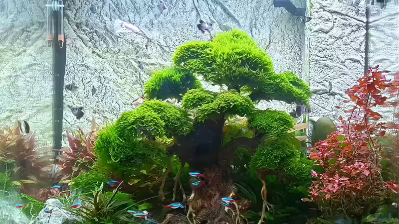 Lido200 von Marc Scheiring (1)