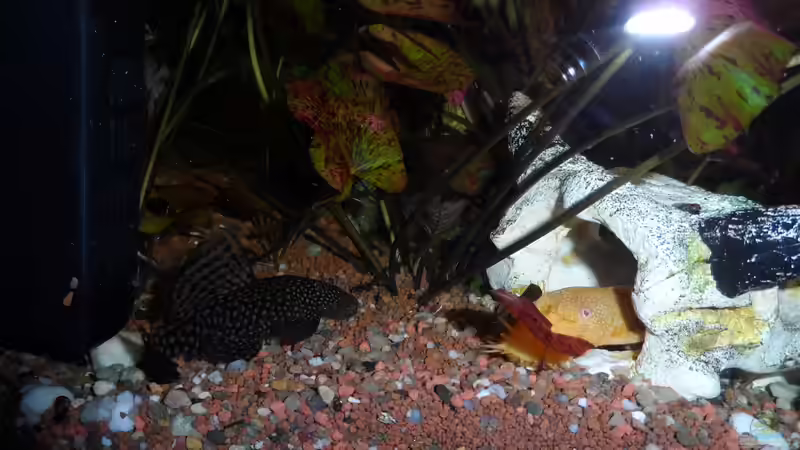 Liebesspiel.... von S04Peter (32)