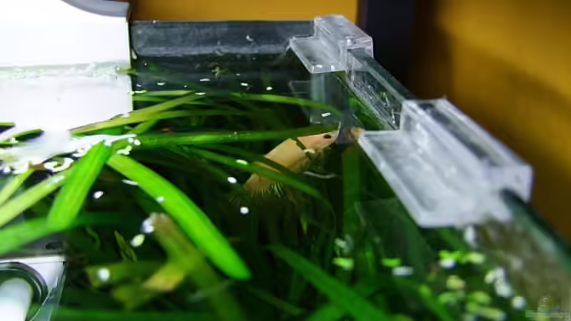 Lieblingsplatz von Denise83 (18)