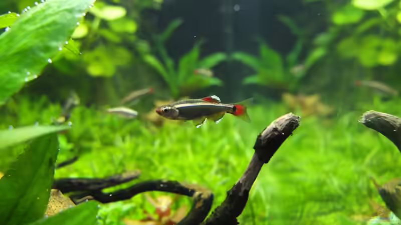 Lieblingsstelle von axolotl (69)