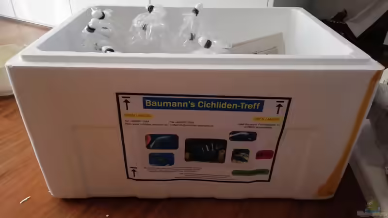 Lieferung am 19.10.2018 von Cichlidentreff Baumann von Tom (11)