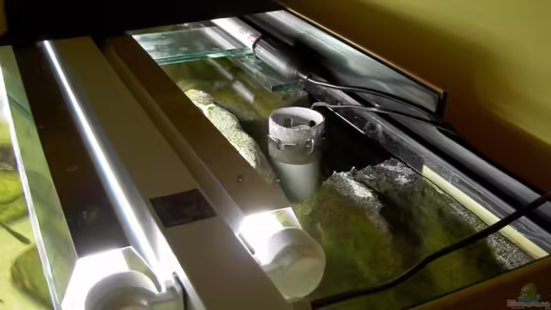 light ramp von Martin Vajs (8)