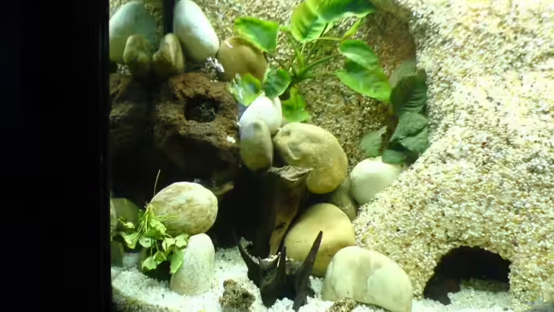 Linke  seite. von Manuel Hammes (5)