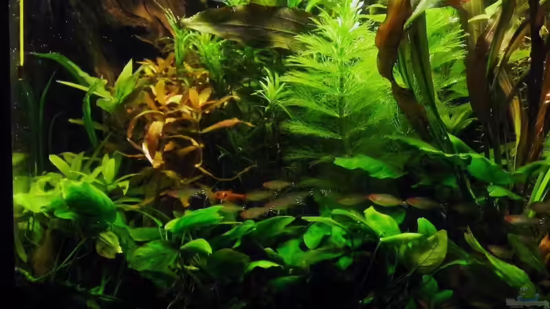 linke Becken Seite von Frank Rothhaupt (3)