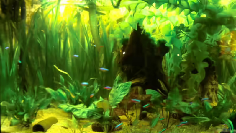 linke Beckenhälfte 13.03.2011 von Sirko Fricke (34)