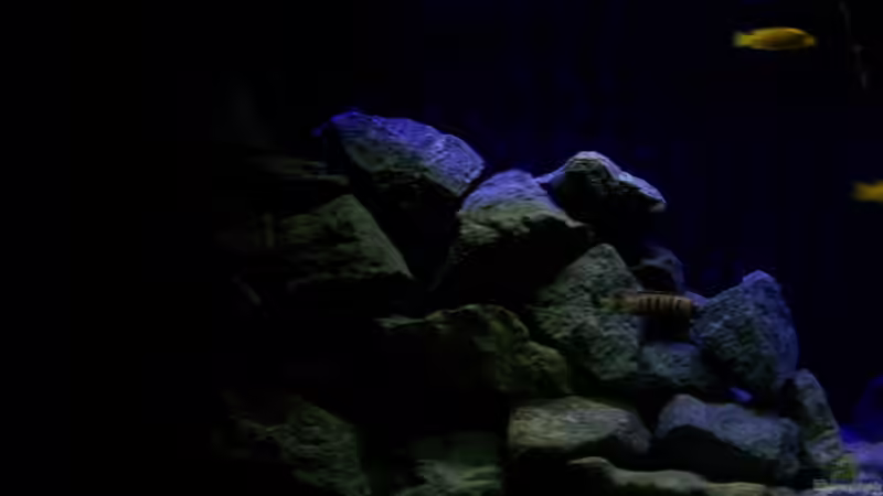 linke Beckenhälfte von Christopher Roß (2)