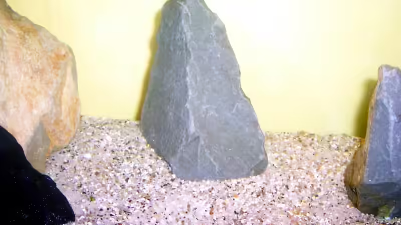 Linke Beckenhälfte von Killi (2)