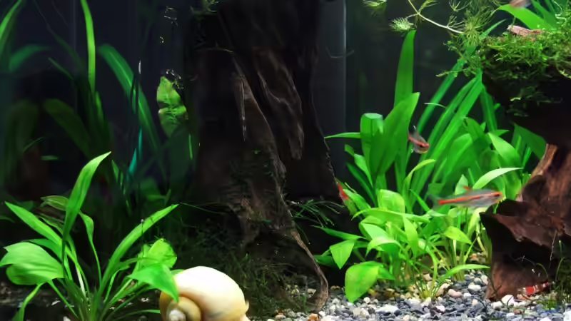 Linke Beckenhälfte von Steffen Salzmann (3)