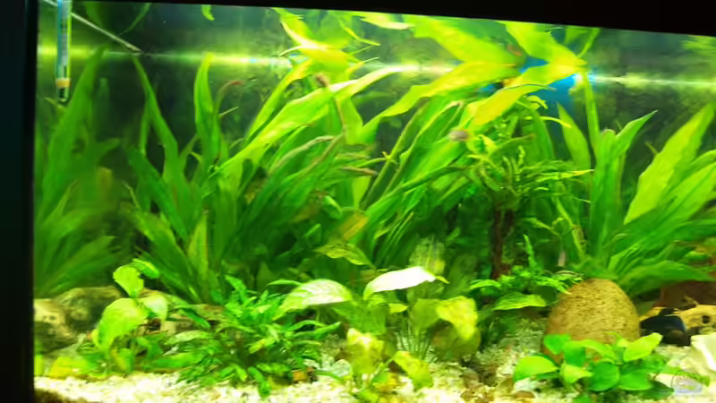 Linke Beckenhälfte von Theresa Horak (3)