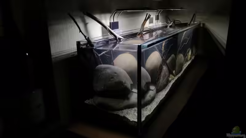 linke Beckenseite 03.06.2019 von Tim Buktu (5)