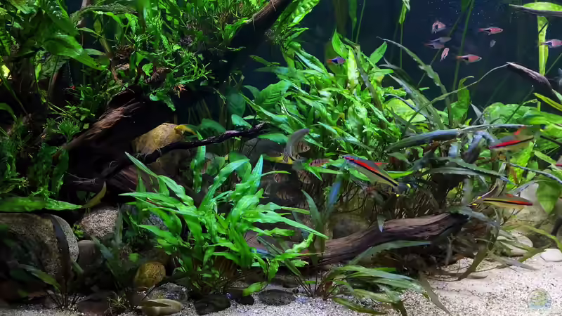 linke Beckenseite 04/2020 von ~Marco~ (35)