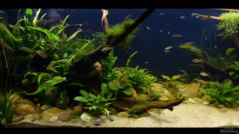 linke Beckenseite 11.10.2018 von ~Marco~ (44)