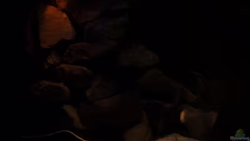 linke Beckenseite Sonnenuntergang von JOHN (12)