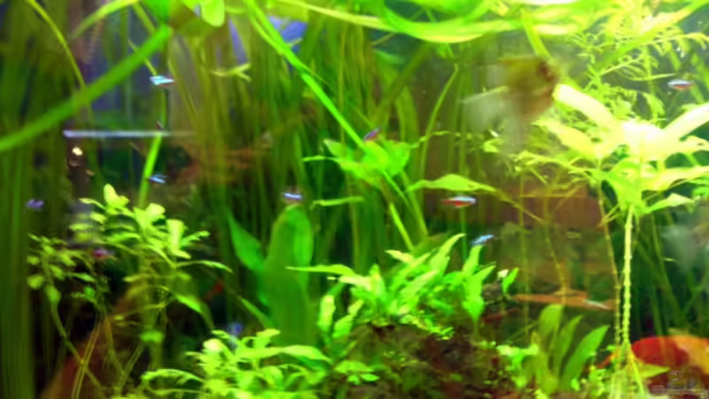 Linke Beckenseite von Dennis Röthemeier (3)