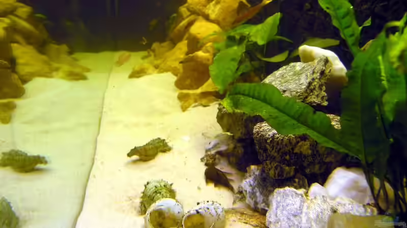 Linke Beckenseite von Felix Klett (2)