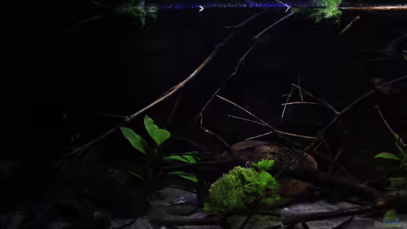 Linke Beckenseite von Florian Bandhauer (24)