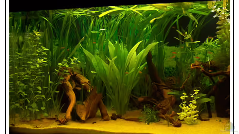 linke Beckenseite von Martin Lenhardt (2)