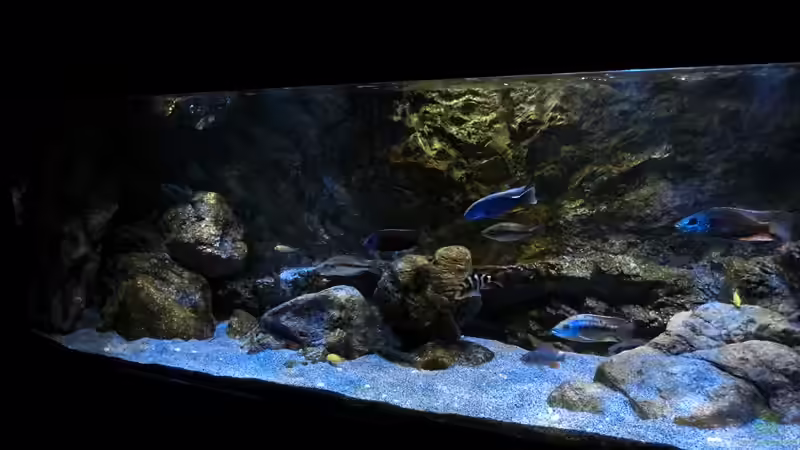 linke Beckenseite von marxbre (6)