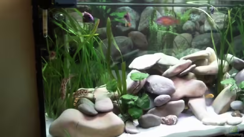 linke Beckenseite von Michael 123 (5)