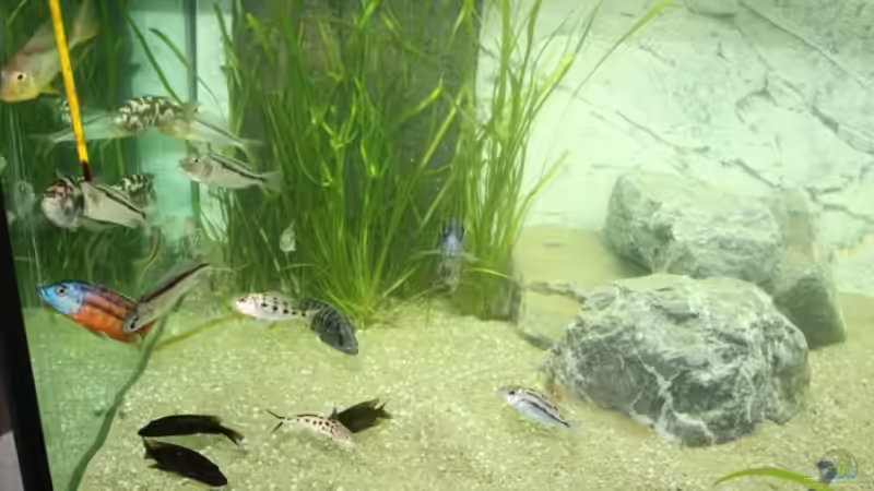 linke Beckenseite von Michael Brunner (3)