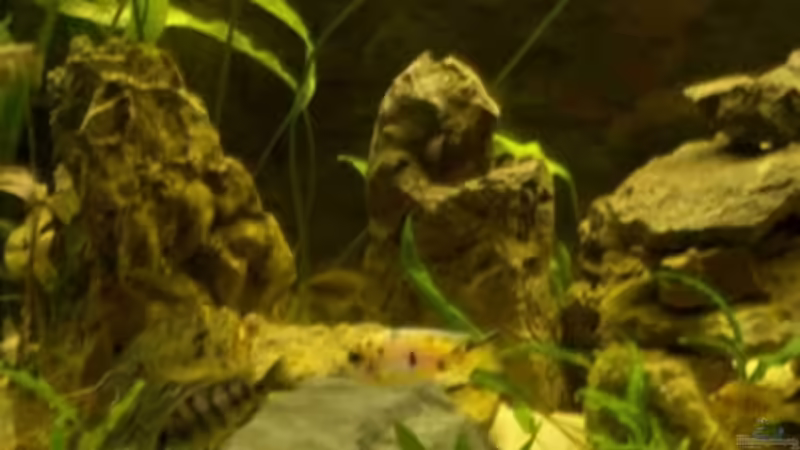 linke Beckenseite von Monika Thiele (17)