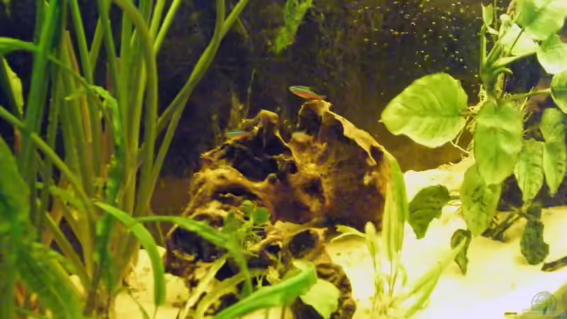 linke Beckenseite von Monika Thiele (4)