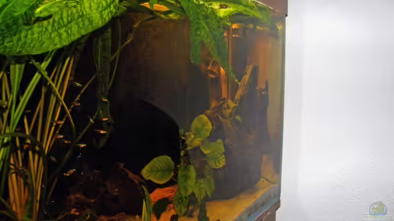 linke Beckenseite von Monika Thiele (5)