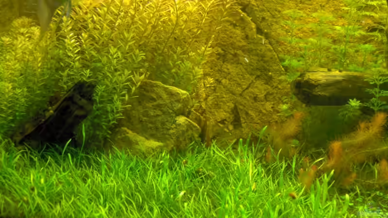 Linke Beckenseite von Stefan Reinl (14)