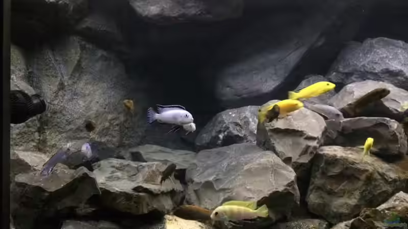 linke Beckenseite von Tobias.Neher (10)