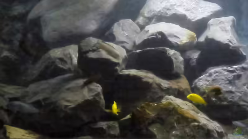 linke Beckenseite von Tobias.Neher (11)