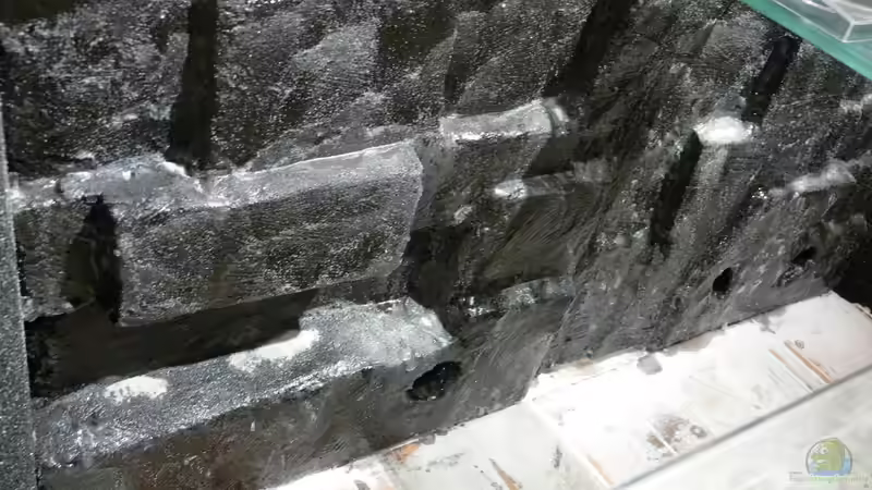 linke Draufsicht 10.01.2013 von DominikZ (23)