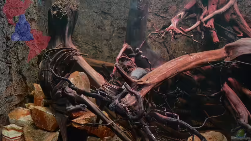 Linke Ecke - 24.10.2012 von GGuardiaNN (14)