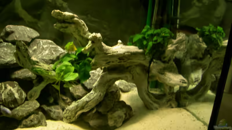 linke Ecke ( ohne Blitz ) von Florian Ober (3)