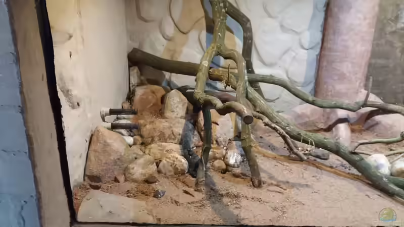 linke Ecke von Kurt Osterhoff (33)