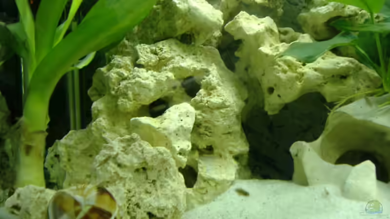 linke Ecke von Michael Dölle (3)