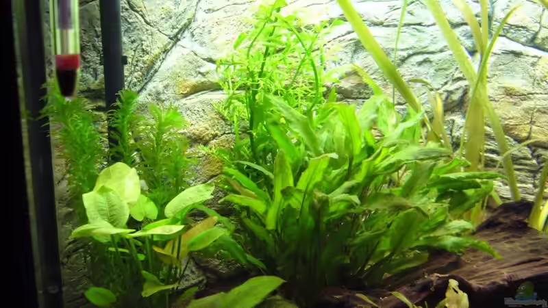 linke Ecke von Michael Hermes (5)