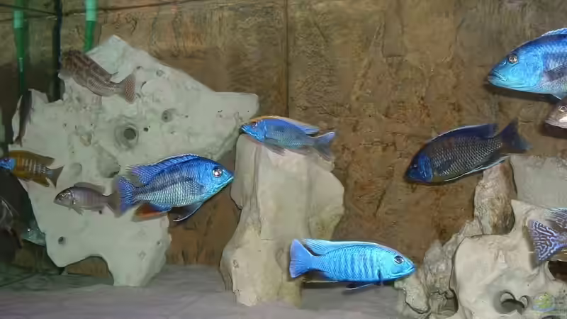 Linke Ecke von Nimbo (2)